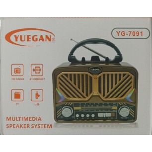 PL-4700 FM,BT,SD,USB GİRİŞLİ NOSTALJİ RADYO